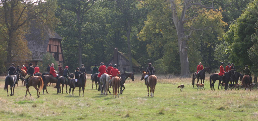 Reiten