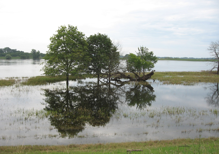 Erlebnisregion Gartow - Lenzen