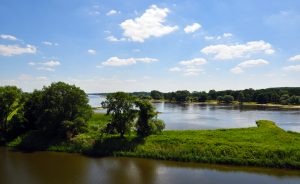 elbe
